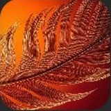 Logo Phoenix 0.9 dans Leonardo AI
