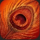 Logo Phoenix 1.0 dans Leonardo AI