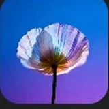 Logo Seedream 4.0 dans Leonardo AI